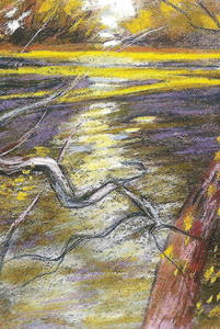 La branche pourrie sur la Loire 2001 - Pastel sec
C.P
23*32
