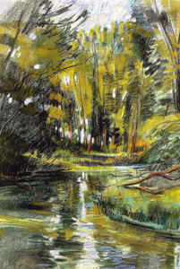 L’eau transparente du Rhin tordu 1985 - Pastel sec
C.P
64*48
