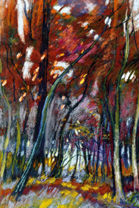 La forêt des Tronçais en automne - Pastel sec
C.P
62.7*47
